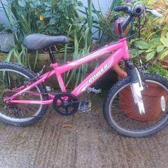 Power kids bike