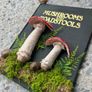 The Ultimate Mushroom and Toadstool Book and Bookmark Image 2