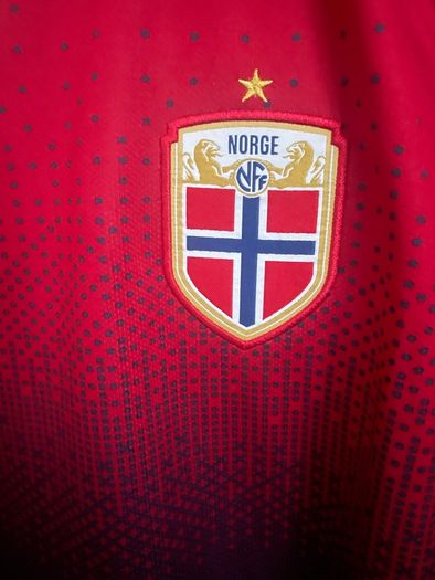 Norway Women's National Team (2019 season)