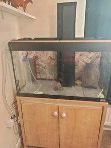 126L Fluval Aquarium + Stand, Light, and Filter