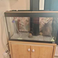 126L Fluval Aquarium + Stand, Light, and Filter