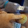 Cabbage Patch Dolls x 2 Image 5