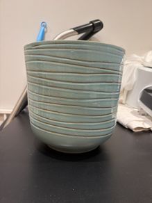 Plant Pot