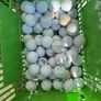 Golf balls Taylormade Image 2
