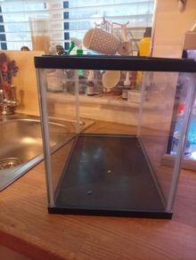 Fish tank