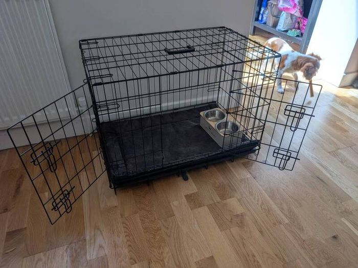 dog cage