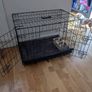 dog cage Image 2