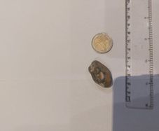 Blue agate rock