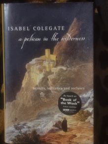 A Pelican in the Wilderness by Isabel Colegate