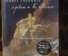 A Pelican in the Wilderness by Isabel Colegate