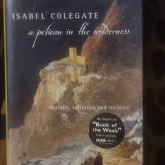 A Pelican in the Wilderness by Isabel Colegate