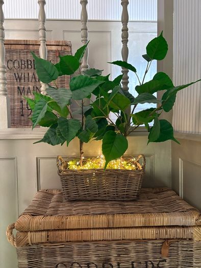 Washed rattan planter console or centrepiece with timer lights