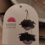 Ceramic Hanging Baskets Image 3