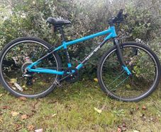 Frog 69 Team Sky