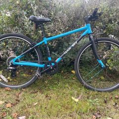 Frog 69 Team Sky