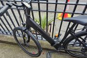 e-bike tenway CGO800S
