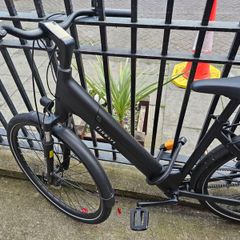 e-bike tenway CGO800S