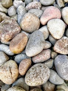 Scottish Cobble Decorative Stones 10kg