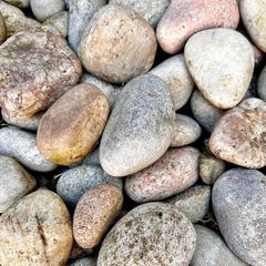 Scottish Cobble Decorative Stones 10kg