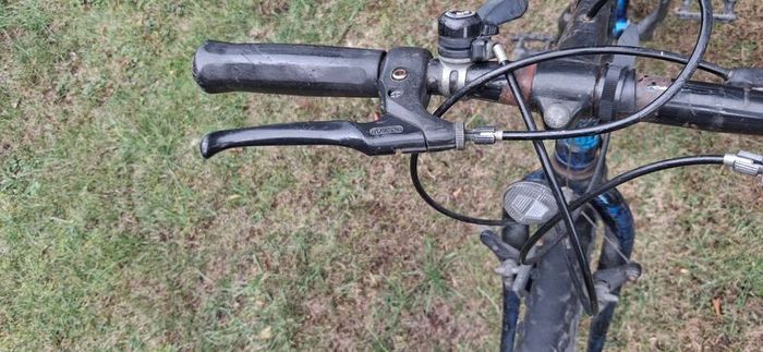 Adult bike