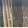 Acoustic Wall panels Image 5