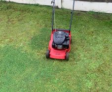 Lawnmower