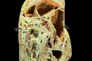 Mineral Form - Green Smithsonite