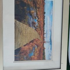 Silver Framed Picture