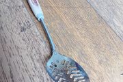 Spoon Drainer