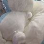 Pokemon Pachirisu 23cm Plush Toy Image 4