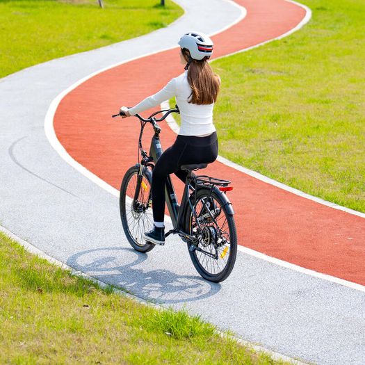 Eleglide T2 Electric Bike