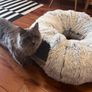 EasyStar, Plush Cat Tunnel for Indoor Cats, 80x25cm, Image 2