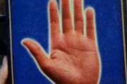 The book of Palmistry - Sasha Fenton and Malcolm Wright