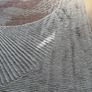 Ez living rug Image 4