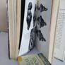 In Search of Adam: The Story of Man's Quest for the Truth about His Earliest Ancestors by Herbert Wendt. Translated from the German by James Cleugh (GT110) Image 6