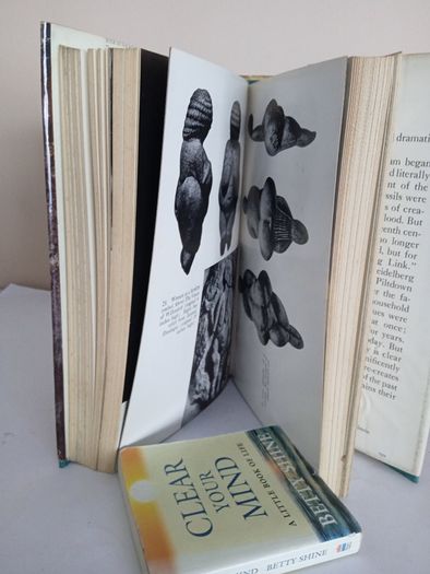 In Search of Adam: The Story of Man's Quest for the Truth about His Earliest Ancestors by Herbert Wendt. Translated from the German by James Cleugh (GT110)