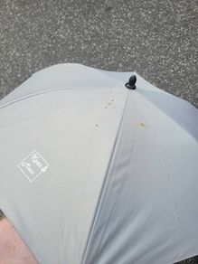 Sun Parasol for buggy