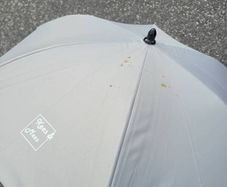 Sun Parasol for buggy