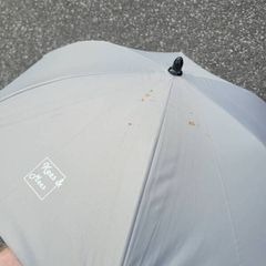 Sun Parasol for buggy
