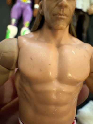 WWE Legends Wrestling Figures