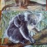 Australian Animals Placemats Image 4