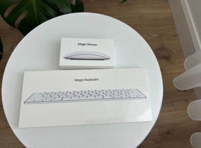 Magic Keyboard And Mouse
