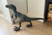 Jurassic World Large Dinosaur Toy, Super Colossal Velociraptor Blue Action Figure 3.5 Feet Long with Eating Feature