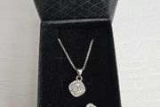 Earrings and Chain