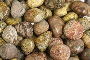 Crystal Tumbled Stones