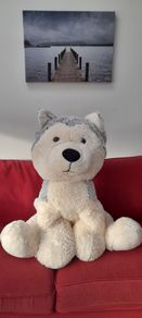 Large Huskie Teddy