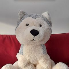 Large Huskie Teddy