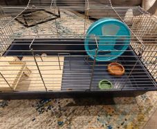 Animal cage