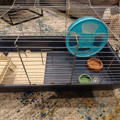 Animal cage