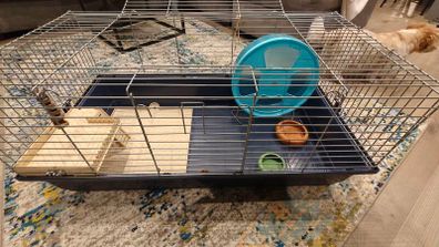 Animal cage